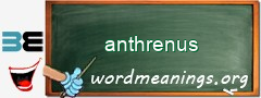 WordMeaning blackboard for anthrenus